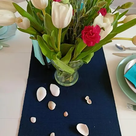 Slonce I Woda Caloroczne, Podgrzewany Basen, Klimatyzacja, Bezplatny Parking アパート ウェバ