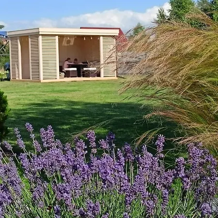 Slonce I Woda Caloroczne, Podgrzewany Basen, Balia Z Jacuzzi, Klimatyzacja, Bezplatny Parking Łeba
