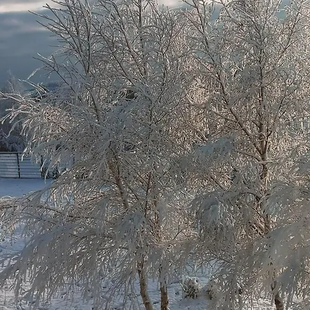 Slonce I Woda Caloroczne, Podgrzewany Basen, Klimatyzacja, Bezplatny Parking *
