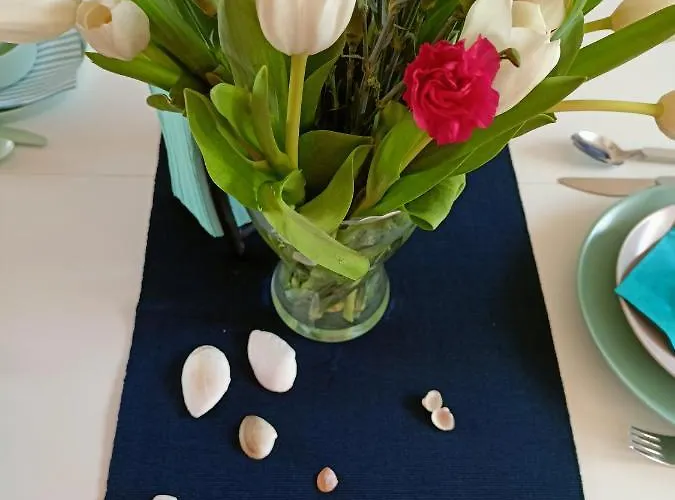 Slonce I Woda Caloroczne, Podgrzewany Basen, Balia Z Jacuzzi, Klimatyzacja, Bezplatny Parking 公寓 莱鲍