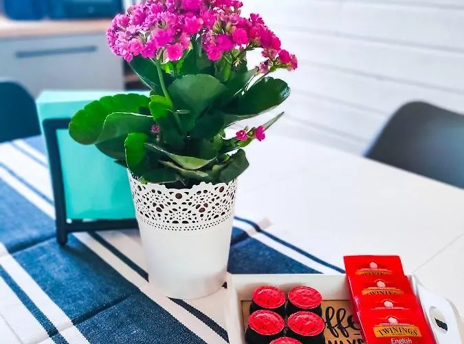 Slonce I Woda Caloroczne, Podgrzewany Basen, Balia Z Jacuzzi, Klimatyzacja, Bezplatny Parking Łeba