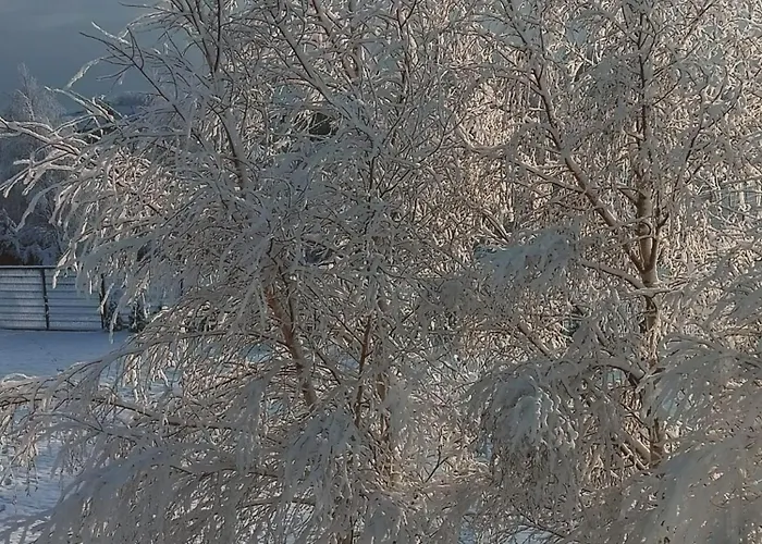 Slonce I Woda Caloroczne, Podgrzewany Basen, Balia Z Jacuzzi, Klimatyzacja, Bezplatny Parking *